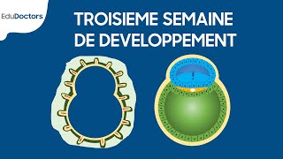 Troisième semaine de développement  Embryologie générale [upl. by Jay154]