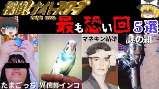 【ゆっくり解説】探偵ナイトスクープの最恐すぎる回 5選【謎のビニール紐・迷子のインコ・マネキンと結婚したい女性etc】 [upl. by Noloc]