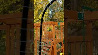 How to put Slinky on bird feeder httpsyoutubeXbue03mwX9w [upl. by Asaret653]