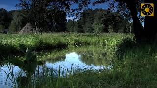 SPREEWALD  das quotknackig  grüne Spreeparadiesquot Teil 3 LübbenSchlepzigSpreewälder Gurken [upl. by Jeana]