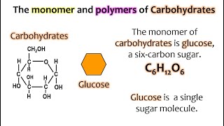 Carbohydrates AP Biology Topics 14 amp 15 Updated [upl. by Nnylhtak380]