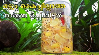 ഒട്ടും കൈപ്പില്ലാത്ത നാരങ്ങ ഉപ്പിലിട്ടത്  Salted Lemon  Naranga Uppilittathu  White Lemon Pickle [upl. by Onitnelav]