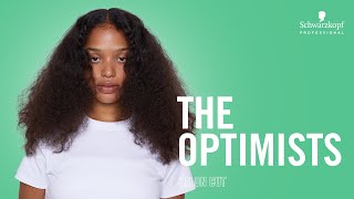 How To Cut Curly Hair The Optimists Salon Look [upl. by Adhern531]