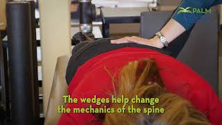 Herniated Discs How Can a Chiropractor Help  Palm Wellness Center [upl. by Atniuq]