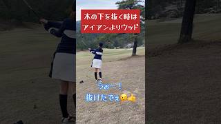 地を這う低弾道 木の下から打つ時の方法 トラブルショット スティンガーショット [upl. by Akimot686]