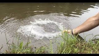 DIY Pond Aeration Improve Your Pond Water Quality plus quotBig Maxquot vs Hiblow aerators [upl. by Eelir]