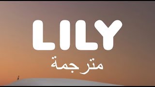 Alan Walker  LILY  Lyrics  مترجمة Feat K391 amp Emelie Hollow [upl. by Veejar436]