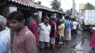 The World Famous Negombo Fish MarketSri Lanka [upl. by Carissa]