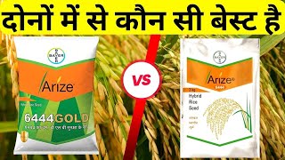 दोनों में से कौन सी बेस्ट है  arize 6444 gold dhan  arize 6444  arize 6444 paddy seeds  dhan [upl. by Orme]