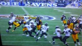 Hines Ward Gets Decked [upl. by Arytas]