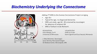 OHBM 2022  195  Symposium  Melissa Terpstra  Neurochemical Profiles of Late Life Cognitive Ris… [upl. by Gitt]