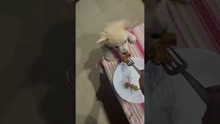 Sweety eating onion 🧅 bhaji [upl. by Darice237]