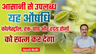 Health Benefits of Terminalia Arjuna in Ayurveda  benefits in CholesterolBlood pressure etc [upl. by Akem]