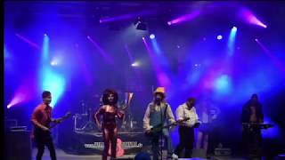 INGE amp HEINZ  Die Glatze Juckt Village Festival Wriezen 2015 [upl. by Ovid]