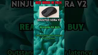 Ninjutso Sora V2  BEST MOUSE OF 2024 [upl. by Saidee]