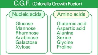 5 Hidden Benefits of Chlorella Growth Factor [upl. by Tuddor767]