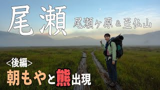 【尾瀬横断 後編】尾瀬ヶ原に朝もや＆クマ出現！至仏山登頂成功！ [upl. by Llien801]