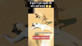 Ye dog ne apni sis ki jaan bachayi 🥺 dog dogshorts movie yt ytshots [upl. by O'Hara]