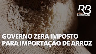 Produtores estranham quantidade de arroz importada pelo governo federal  Jornal Gente [upl. by Garibold]