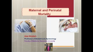 Maternal and Perinatal Mortality [upl. by Attenej]