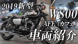 2019新型 W800 CAFE（カフェ）の車両紹介！カワサキゾーン  KAWASAKI ZONE [upl. by Sokil]