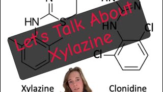 Let’s Talk About Xylazine [upl. by Ahsac]