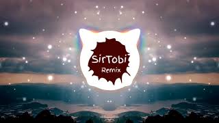 Die Flippers  Lotusblume SirTobi Remix [upl. by Enait]