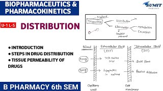 Distribution Tissue Permeability of Drugs  Unit1 Biopharmaceutics and Pharmacokinetics 6th sem [upl. by Whittaker]