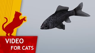 Cat Games  Catching Black Goldfish Video for Cats to watch [upl. by Carley]