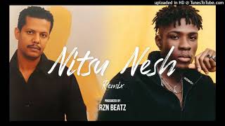 Geremew Asefa  Nitsu Nesh  Afrobeat Remix Prod Rzn Beatz [upl. by Addam]