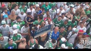 PALMEIRAS CAMPEÃO BRASILEIRO 2016  Torcida filma festa do título na Rua Caraibas x Palestra Itália [upl. by Elhsa]