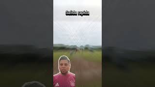 Cortando jugada de gol portero parati fyp futbol soccer goalkeeper viralvideo shorts [upl. by Demott]