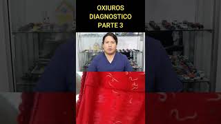 OXIUROS DIAGNOSTICO  PARTE 3 [upl. by Vi]