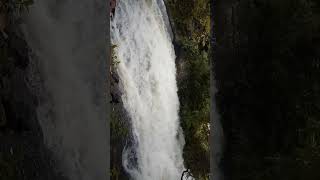 Malampuzha dam palakkad shorts shortsfeed shortvideo [upl. by Nodlehs93]