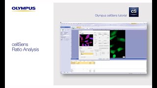 cellSens™ Tutorial Ratio Analysis [upl. by Nitz]