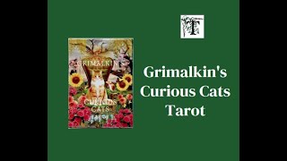 Grimalkins Curious Cats Tarot [upl. by Annoeik643]