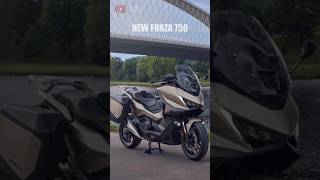 2025 Honda Forza 750 🔥 New Styling Cruise Control amp Updated Features [upl. by Ryan]