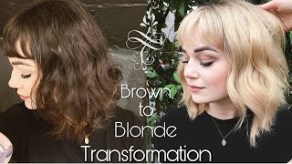 Brown to Blonde Hair Transformation  One Day [upl. by Leitnahs392]