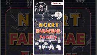 👆Short Trick to Learn FABACEAE Family💯📝 💪✌️ Motion NEET nvsir neet2024 shorts biology trick [upl. by Emelita]