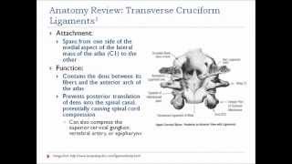 Cervical Ligamentous Testing Alar and Transverse Ligaments [upl. by Karlee]