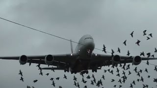 Emirates Airbus A380 Crosswind Landings [upl. by Isadore]