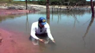 ITAPÊ PESCA E PRESERVAÇÃO PESCARIA DO TUCUNARÉ EM AVARÉ RICARDO NA ARTIFICIAL 171112 [upl. by Sredna]