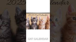 Cat Desktop Calendar Cat Desk Calendar 2025 Desk Calendar Kitten Calendar Cat Calendar Kitty [upl. by Estell]