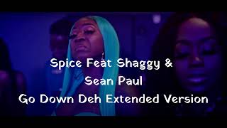 SPICE FEAT SHAGGY amp SEAN PAUL  GO DOWN DEH EXTENDED VERSION [upl. by Georg473]