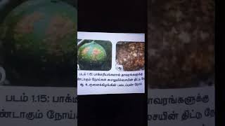 Plant Disease By Bacteria Tamil [upl. by Yvette]