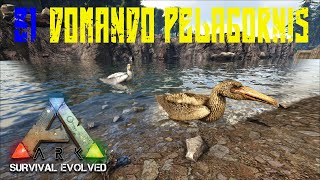 COMO DOMAR PELAGORNIS ARK SURVIVAL EVOLVED VANILLA  SÉRIE COMPLETA NO MAPA THE ISLAND 51 [upl. by Dmitri]