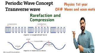 Periodic waves concept Tranverse wave rarefaction and compression Urdu Hindi by Dr Hadi [upl. by Abigael676]