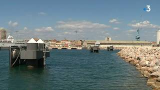 Le port de Sète inaugure son nouveau parc à bestiaux [upl. by Debby]