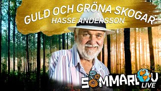 Hasse Andersson spelar quotGuld och gröna skogarquot live i quotSommarlovquot med Farah Rijal och Alex [upl. by Enelia]