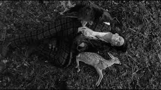 Dead Fawn Scene from Dead Man 1995 HQ [upl. by Acker]